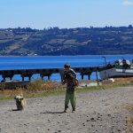 lin lin chiloe pablocaminante 150x150 - Che Guevara en Bolivia, breve historia