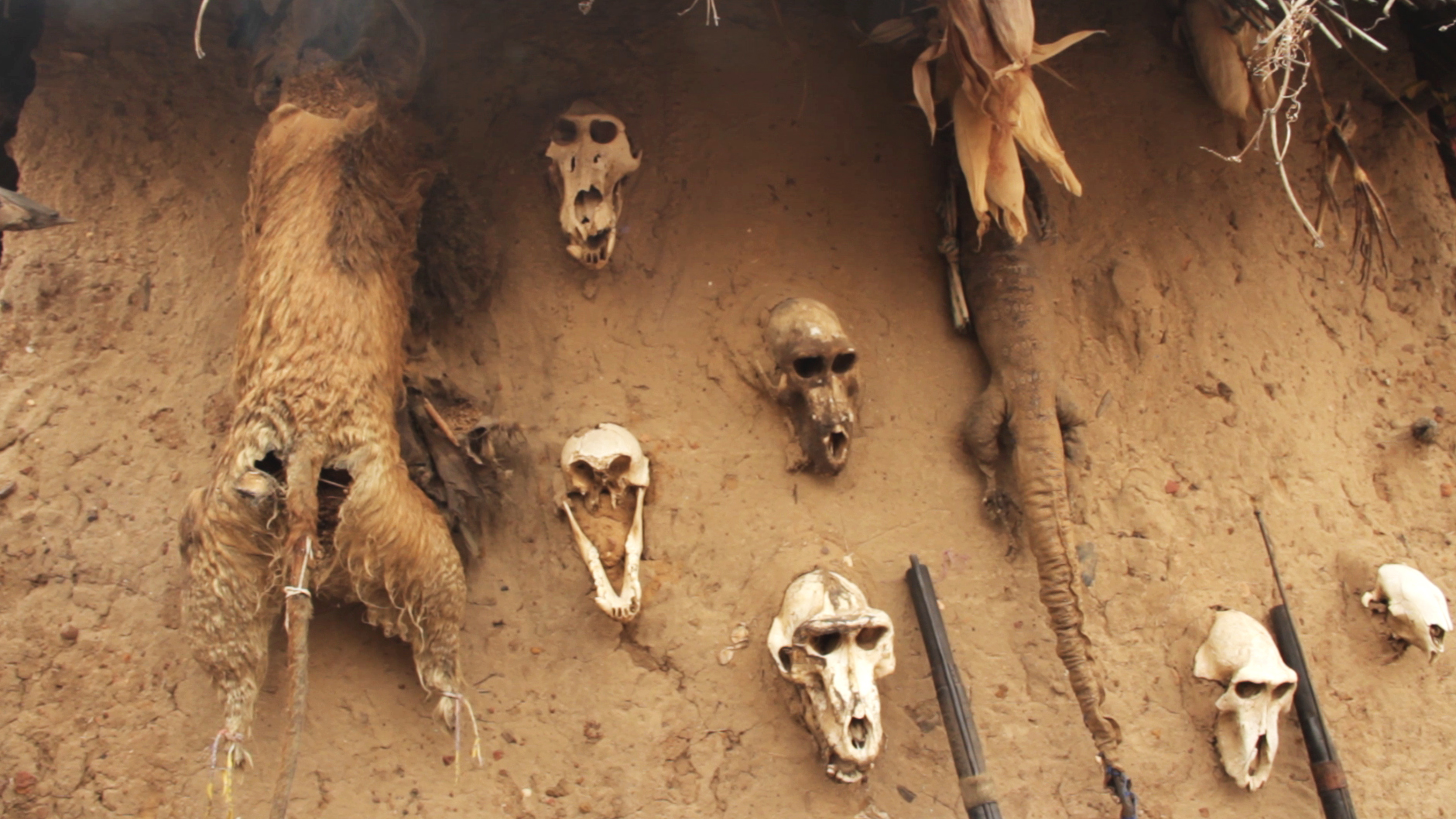 cabezas monos dogon cazador pablocaminante - Malí 9, País Dogon VI: La danza de máscaras