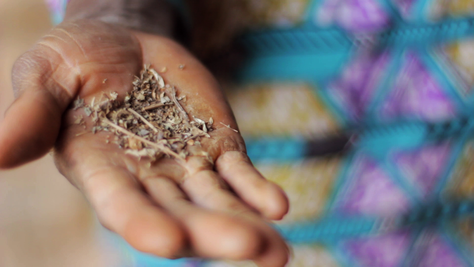 pablocaminante planta dogon termitas - Malí 11, País Dogon VIII: Songó, la circuncisión